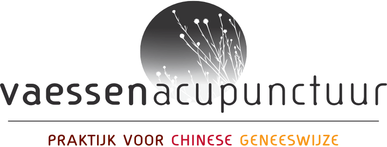 VaessenAcupunctuur